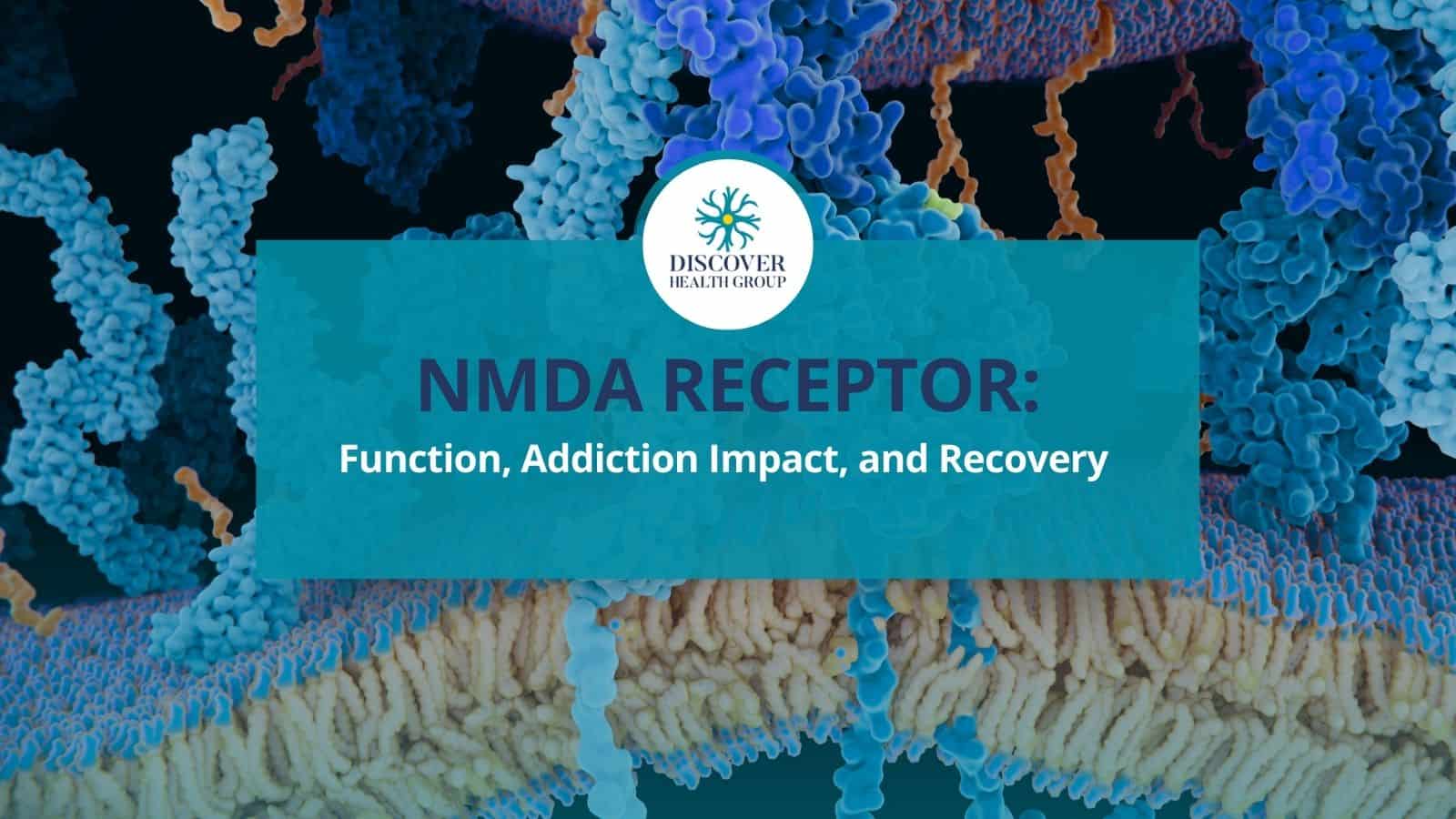 NMDA Receptor: Function, Addiction Impact, and Recovery