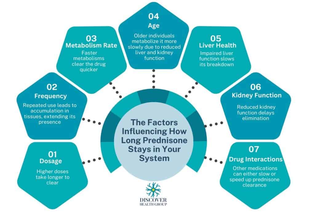 prednisone absorption factors illustration